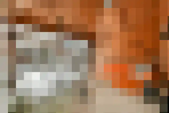 Agatha Dekenstraat 4 Gouda thumbnail 4