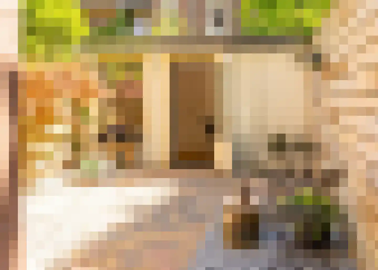 Agatha Dekenstraat 61 3 Amsterdam thumbnail 13
