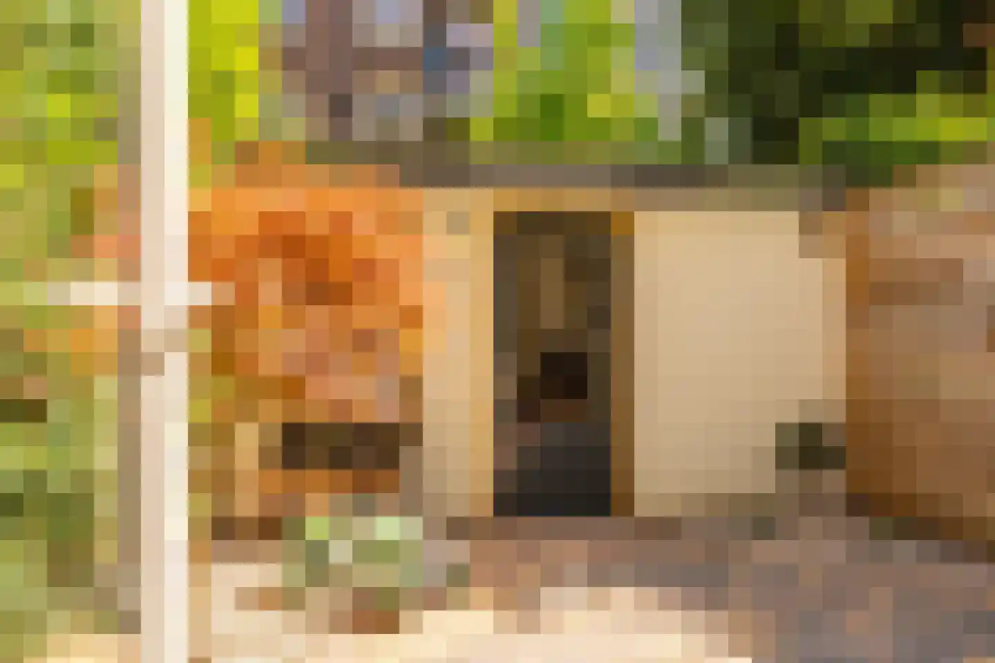 Agatha Dekenstraat 61 3 Amsterdam thumbnail 15