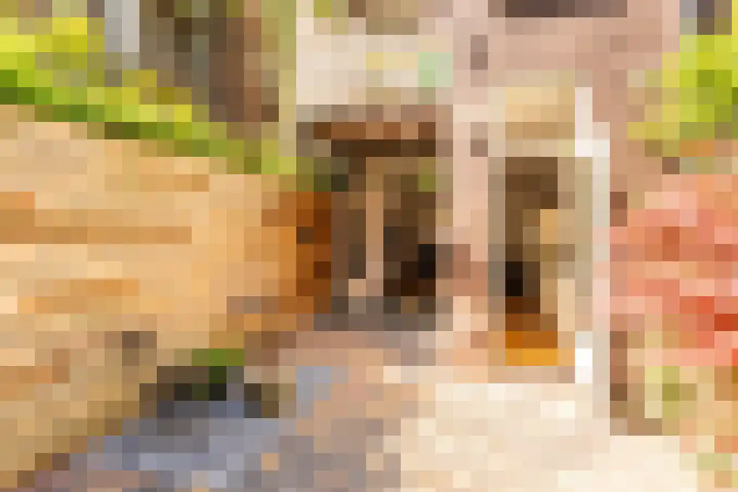 Agatha Dekenstraat 61 3 Amsterdam thumbnail 17