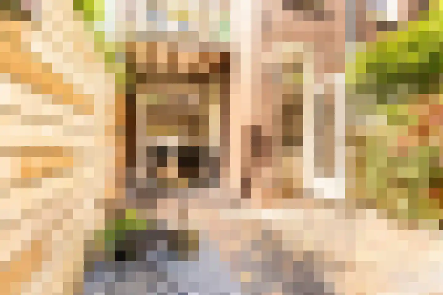 Agatha Dekenstraat 61 3 Amsterdam thumbnail 18