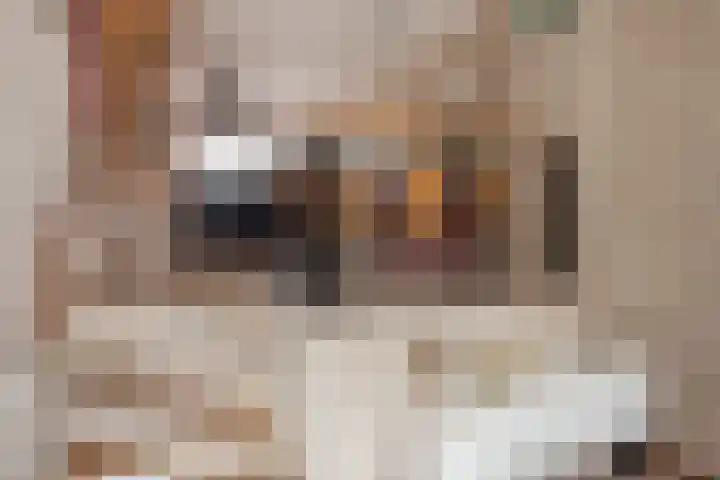 Agatha van Leidenlaan 4 Delft thumbnail 13
