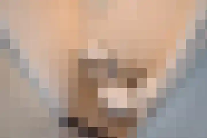 Agatha van Leidenlaan 4 Delft thumbnail 24