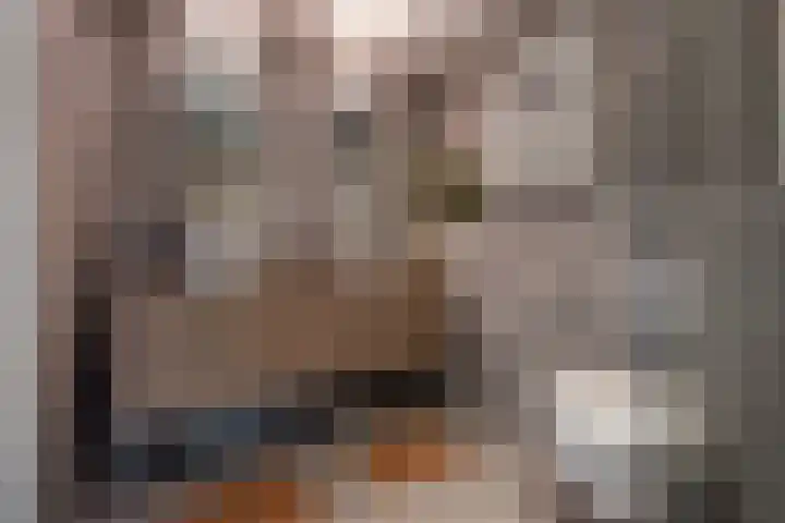 Agatha van Leidenlaan 4 Delft thumbnail 34