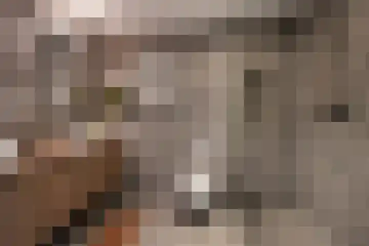 Agatha van Leidenlaan 4 Delft thumbnail 5