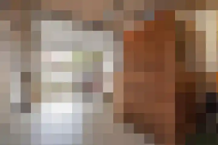 Agatha van Leidenlaan 4 Delft thumbnail 8