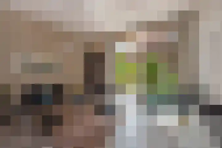 Agatha van Leidenlaan 4 Delft thumbnail 9