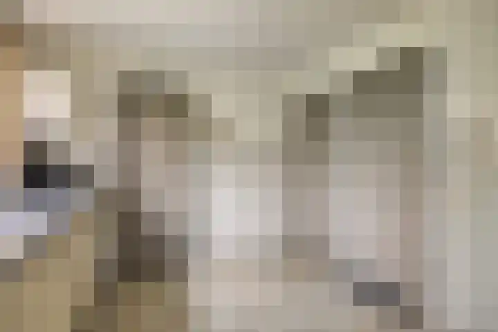 Agathalaan 4 Wouw thumbnail 15