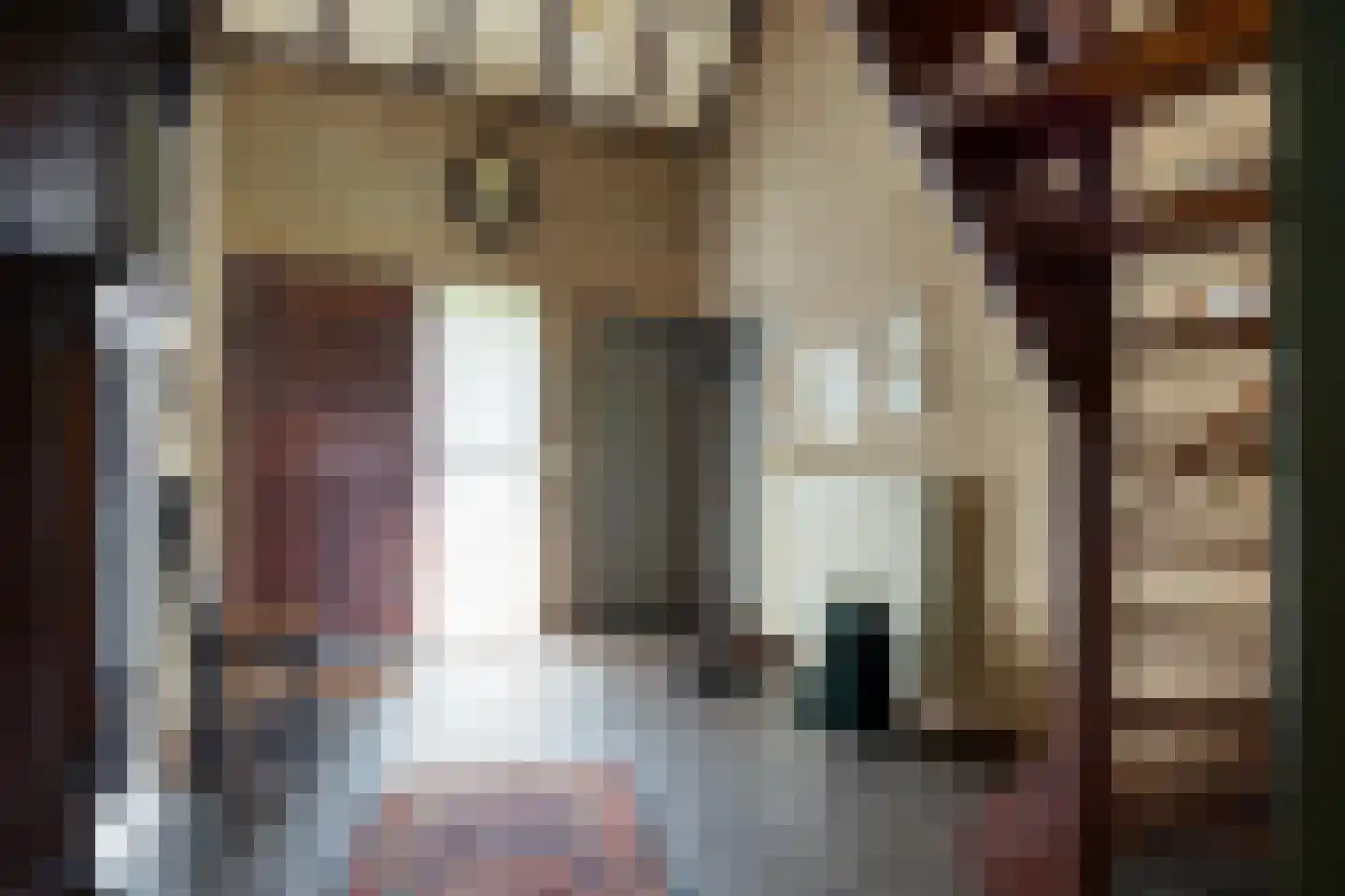 Agathalaan 4 Wouw foto 2