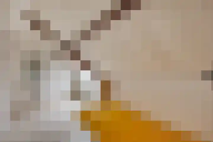 Agathalaan 4 Wouw thumbnail 23