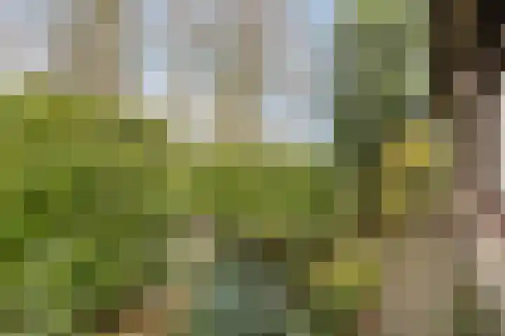 Agathalaan 4 Wouw thumbnail 25