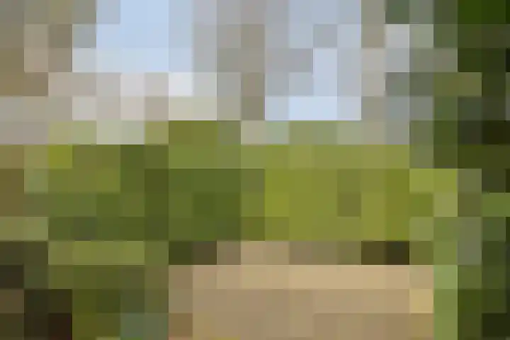 Agathalaan 4 Wouw thumbnail 26