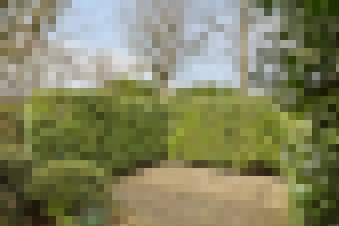 Agathalaan 4 Wouw thumbnail 26