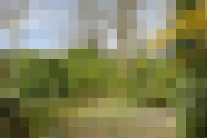 Agathalaan 4 Wouw thumbnail 27