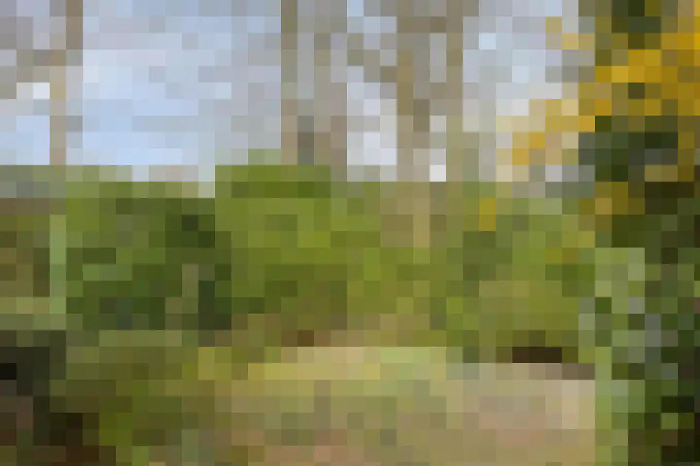 Agathalaan 4 Wouw thumbnail 27