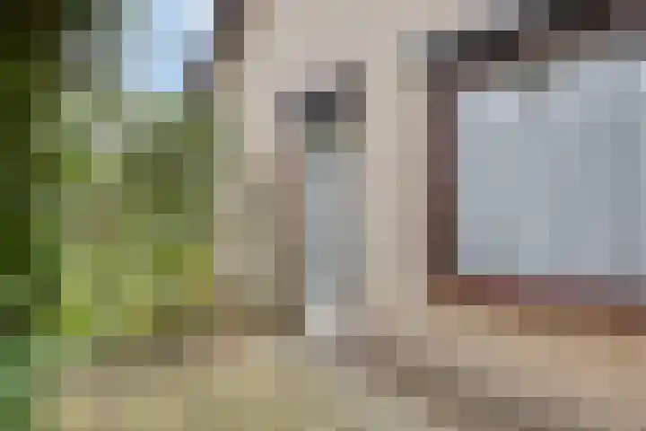 Agathalaan 4 Wouw thumbnail 29