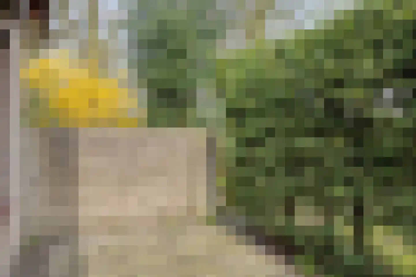 Agathalaan 4 Wouw thumbnail 30