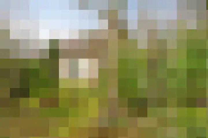 Agathalaan 4 Wouw thumbnail 31