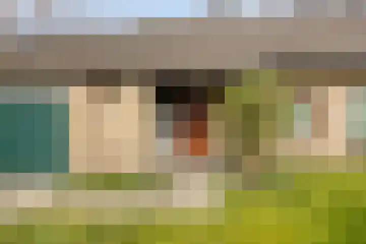 Agathalaan 4 Wouw thumbnail 34