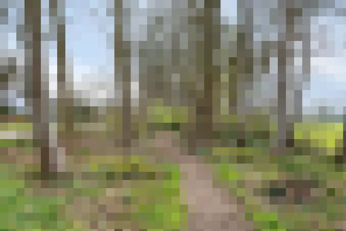 Agathalaan 4 Wouw thumbnail 36