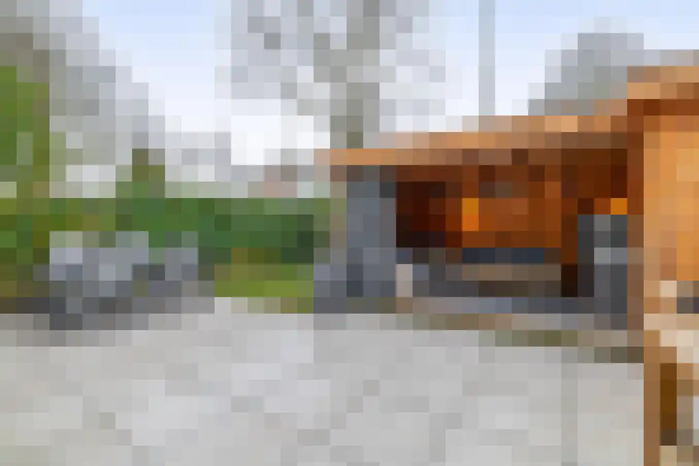 Agathapark 42 Lisse thumbnail 25