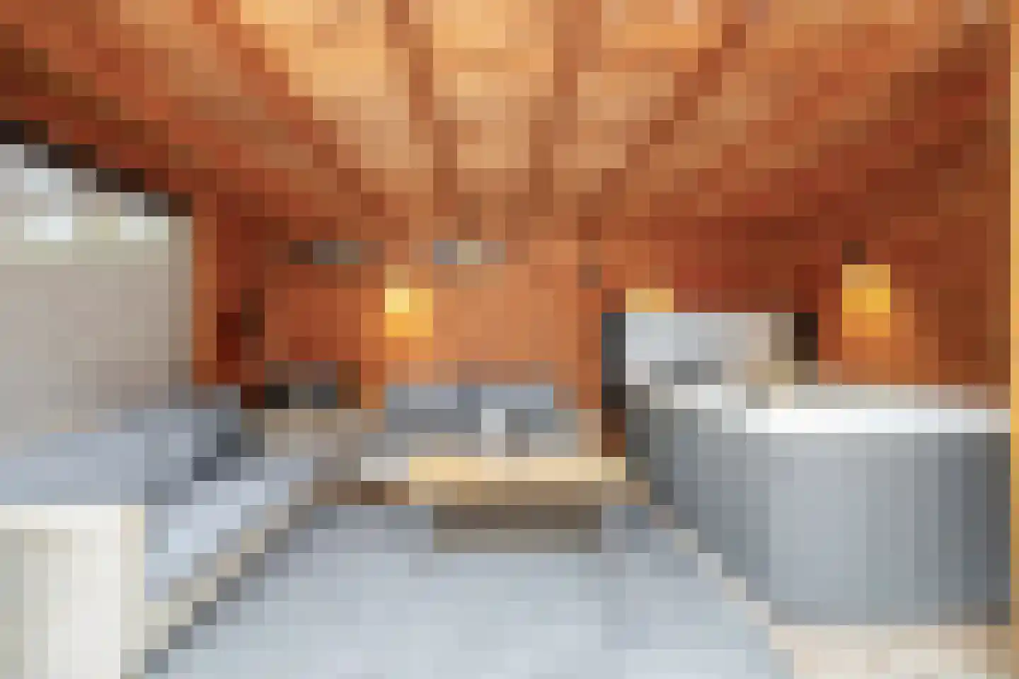 Agathapark 42 Lisse thumbnail 27