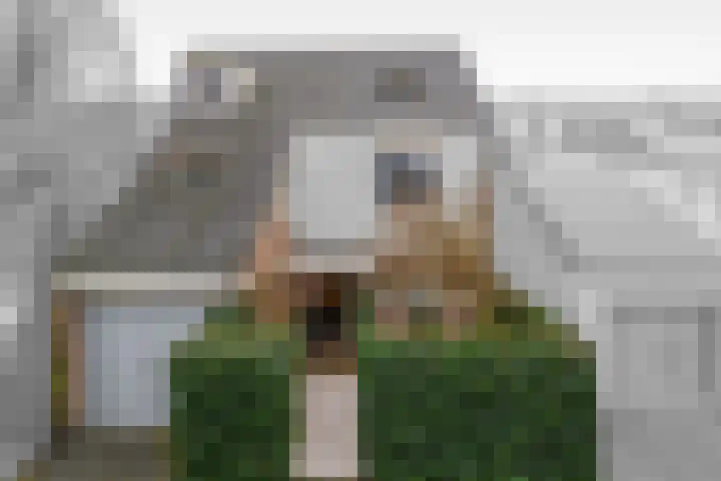 Agathapark 42 Lisse thumbnail 29