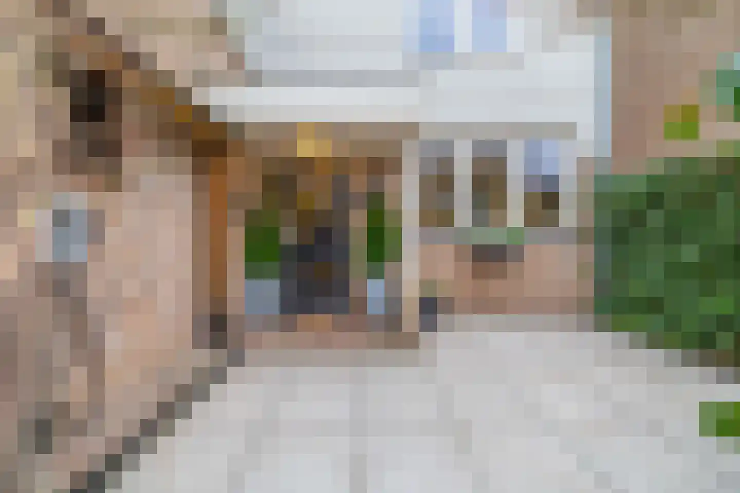 Agathapark 42 Lisse thumbnail 30