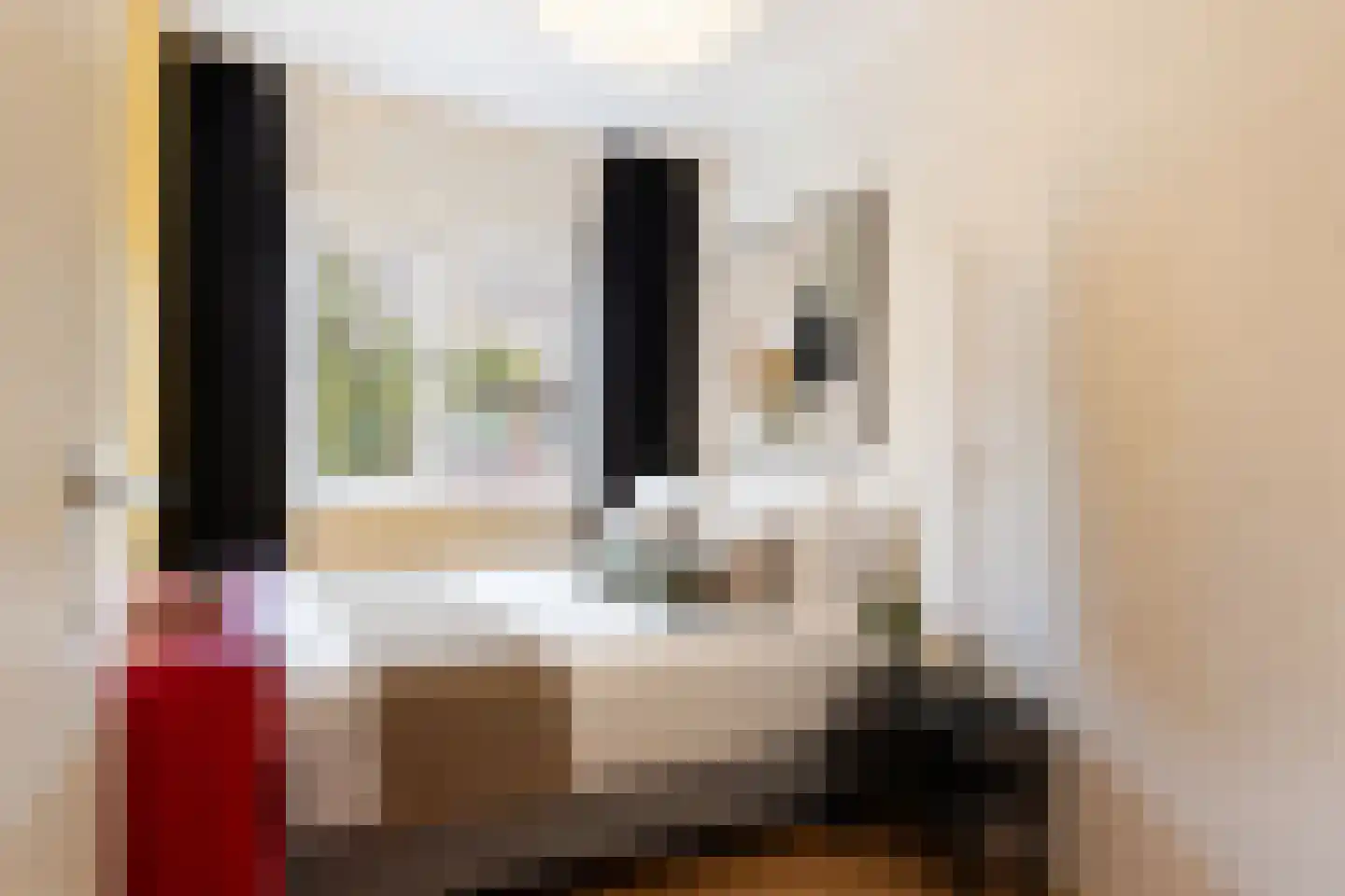 Agathastraat 11 Apeldoorn thumbnail 18