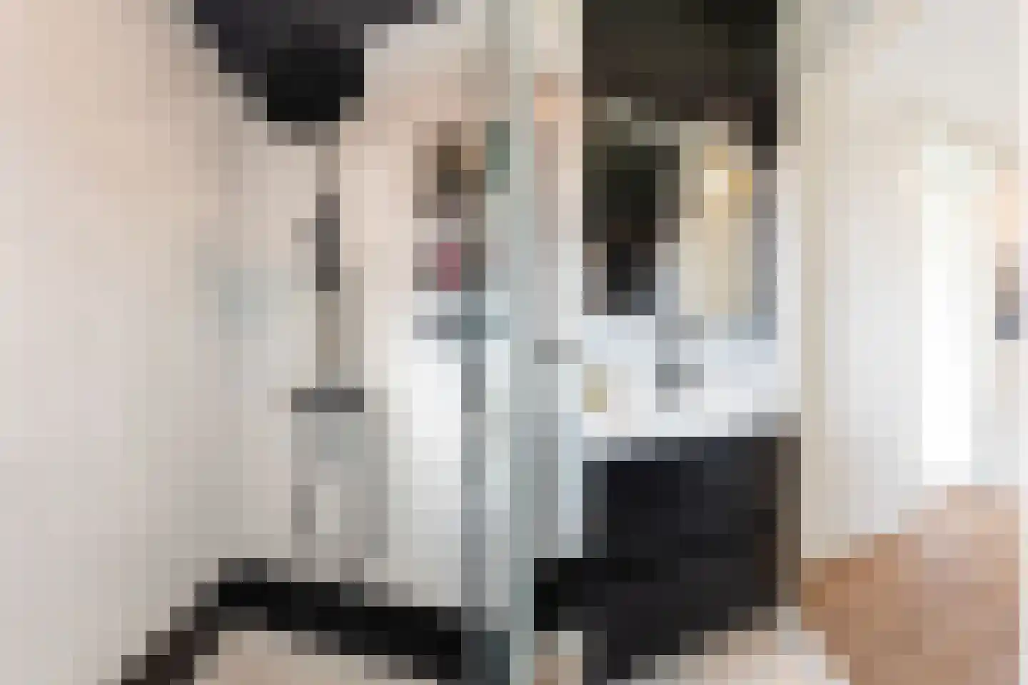 Agathastraat 11 Apeldoorn thumbnail 19