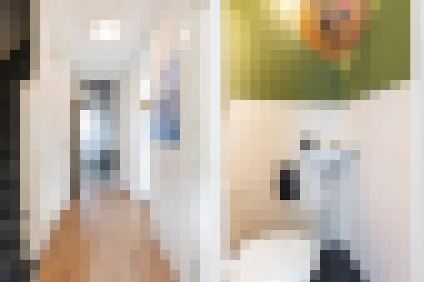Agathastraat 11 Apeldoorn thumbnail 20
