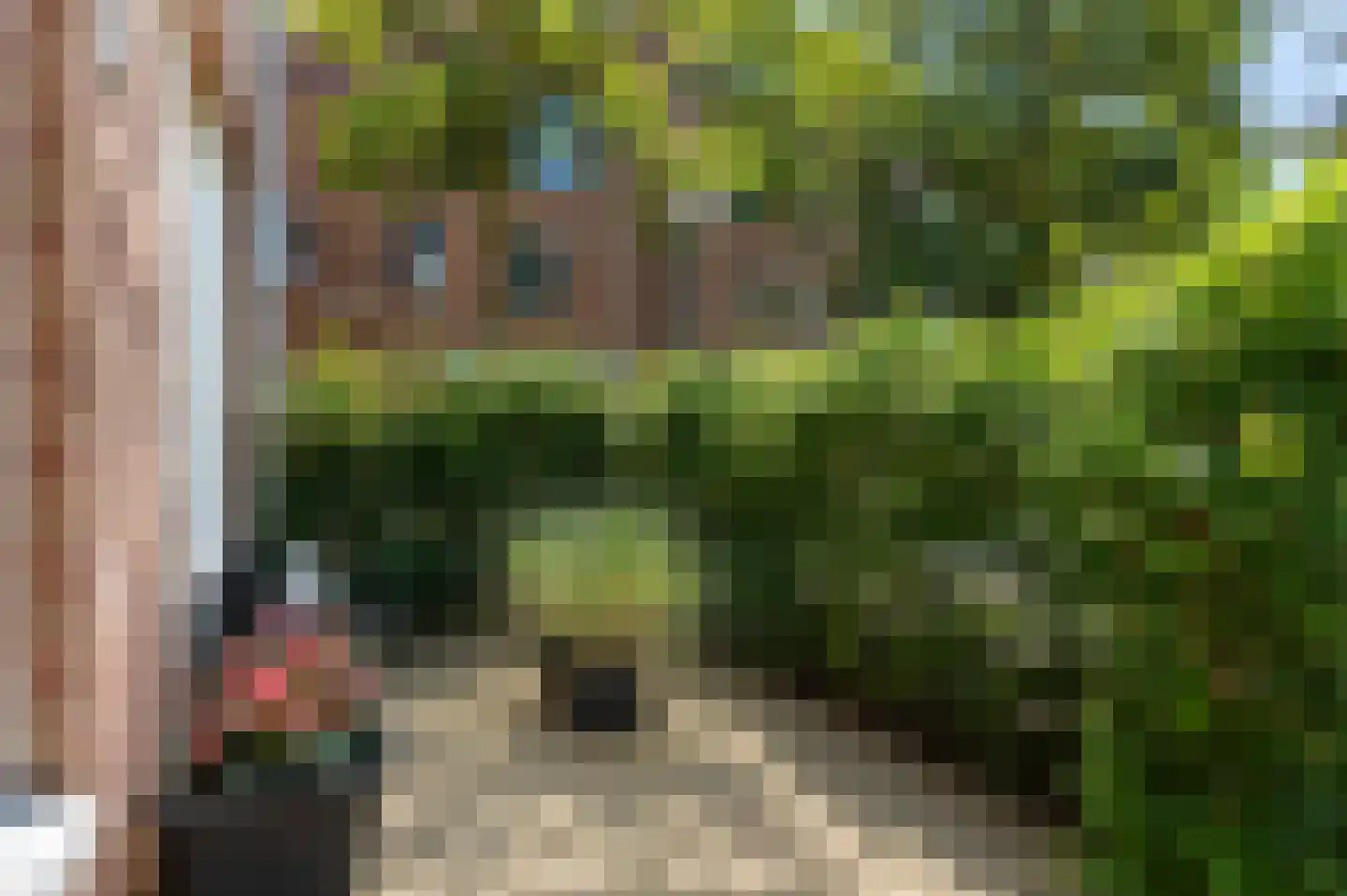 Agathastraat 11 Apeldoorn thumbnail 23