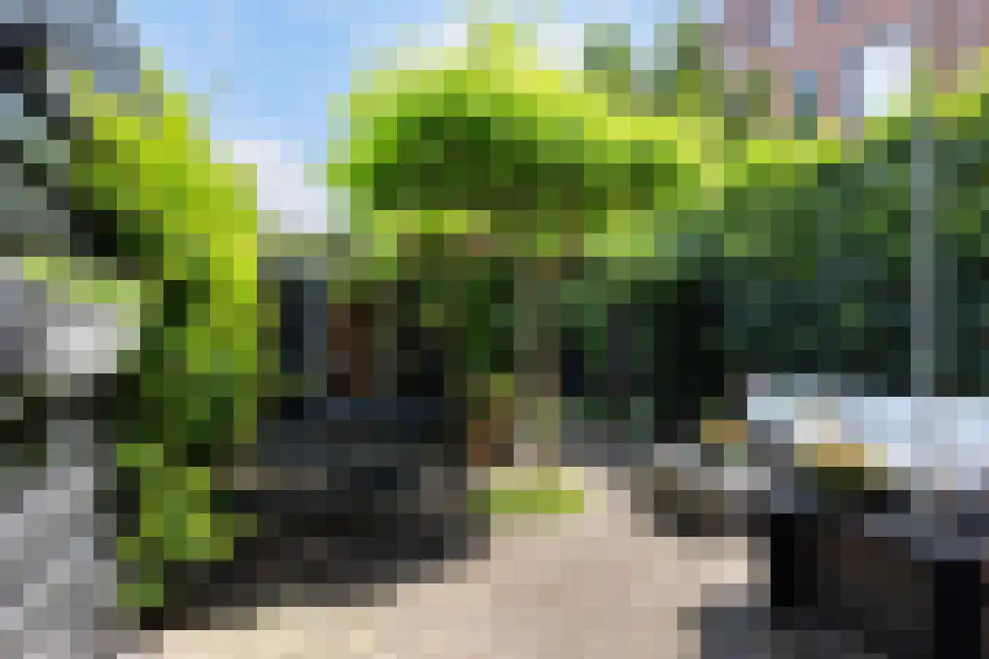 Agathastraat 11 Apeldoorn thumbnail 24