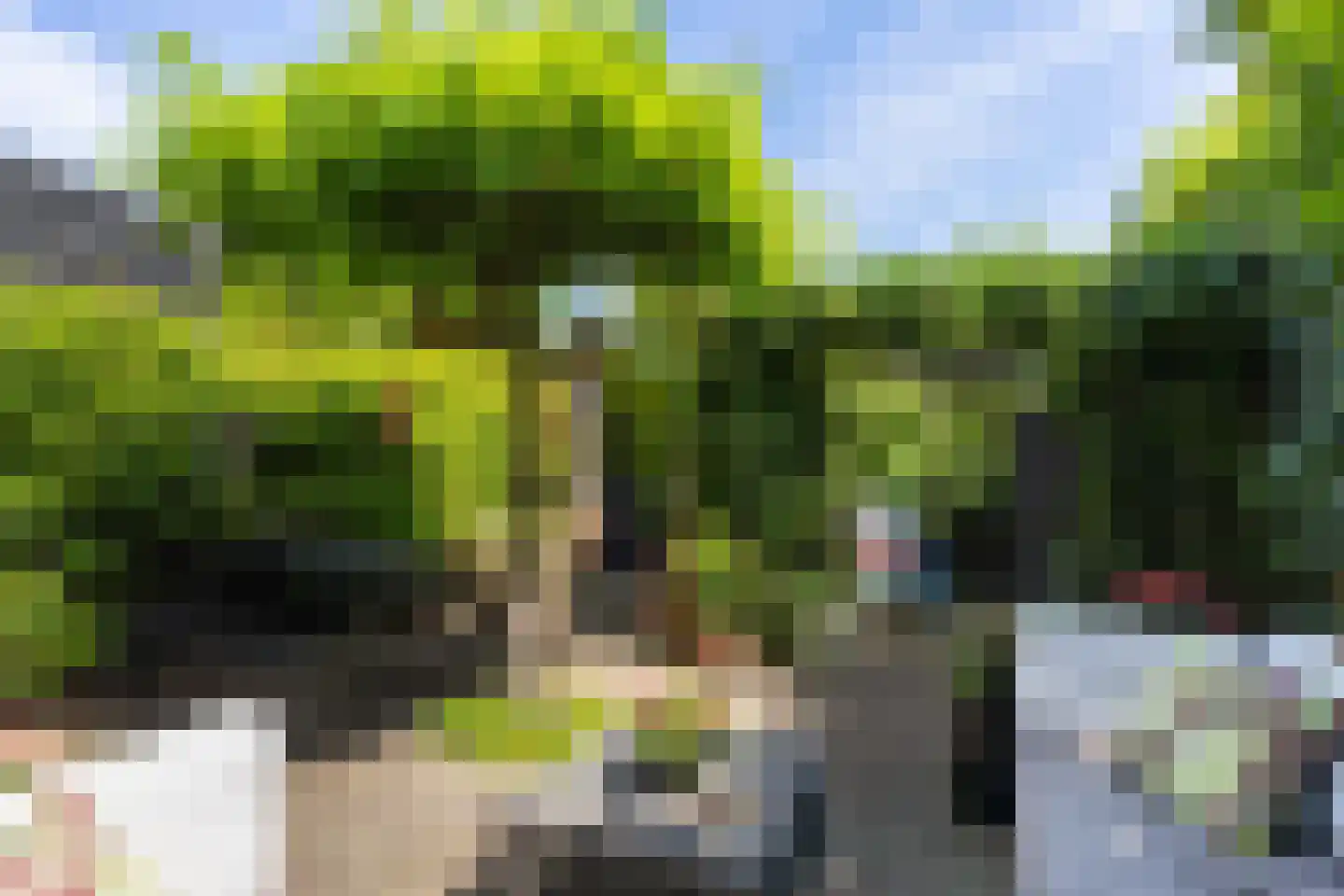 Agathastraat 11 Apeldoorn thumbnail 26