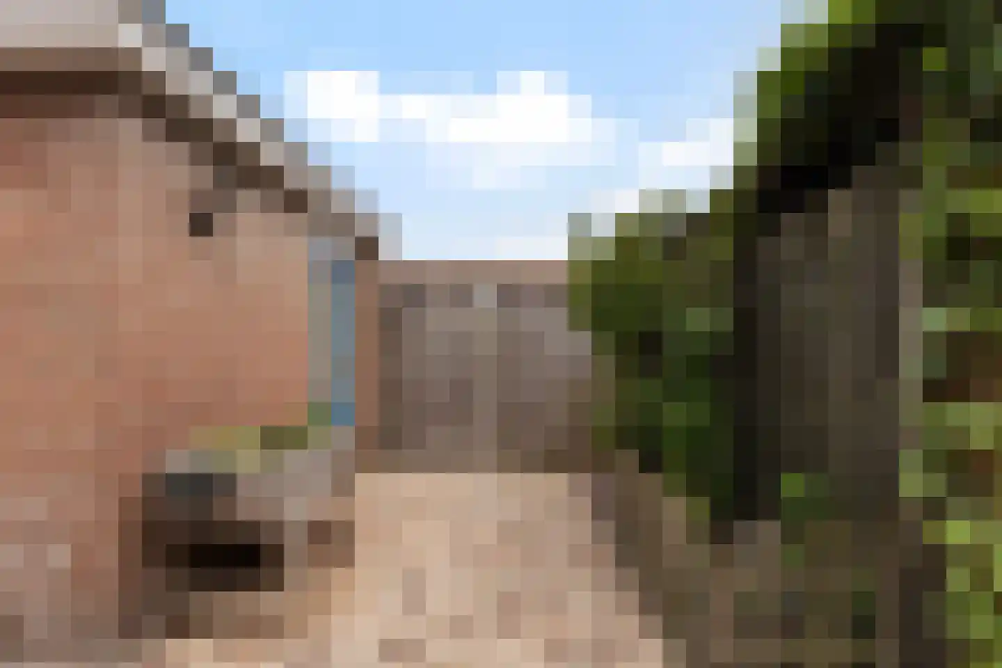 Agathastraat 5 Apeldoorn thumbnail 29