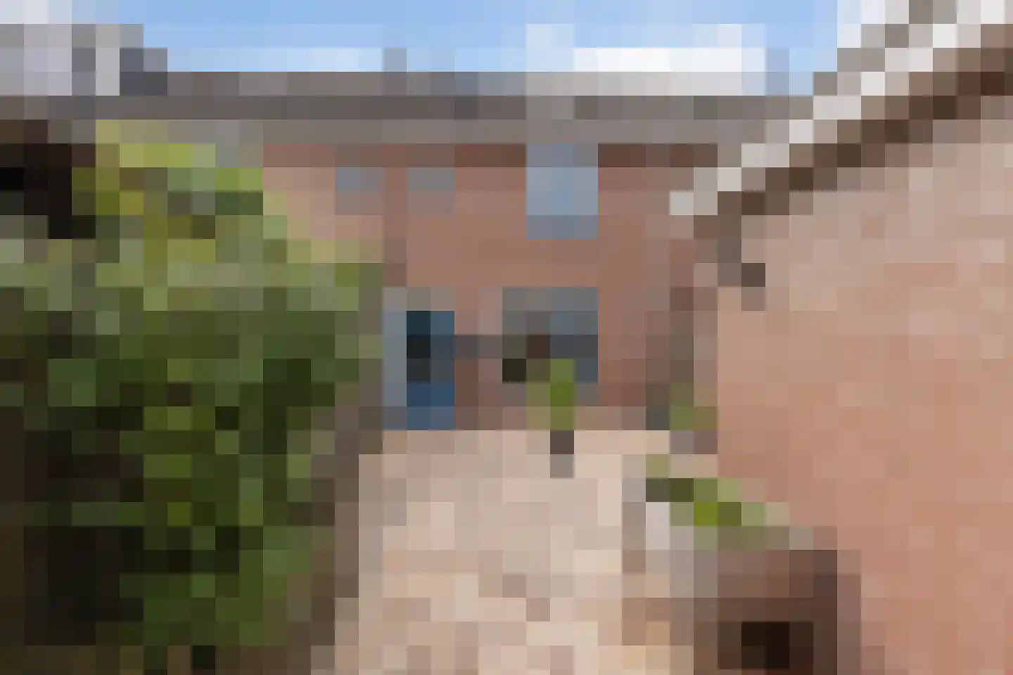 Agathastraat 5 Apeldoorn thumbnail 31