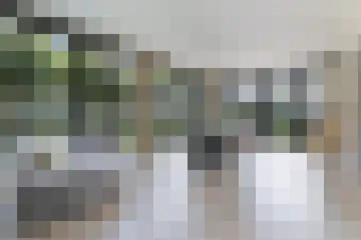Agathastraat 59 Aagtekerke thumbnail 10
