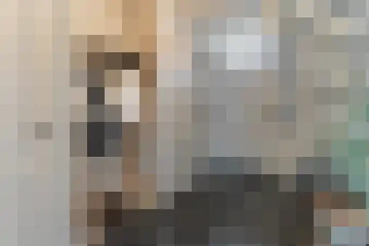 Agathastraat 59 Aagtekerke thumbnail 22