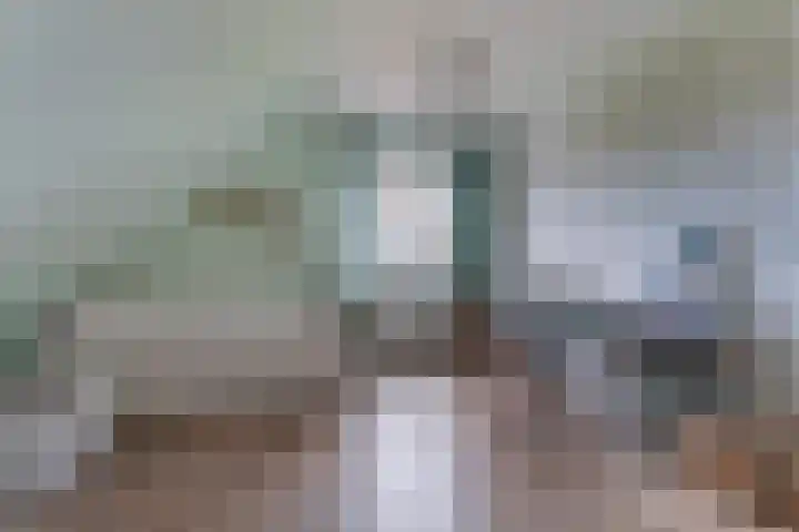 Agathastraat 59 Aagtekerke thumbnail 27