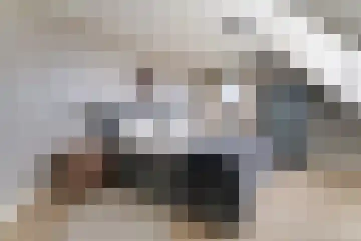 Agathastraat 59 Aagtekerke thumbnail 29