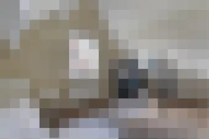 Agathastraat 59 Aagtekerke thumbnail 35