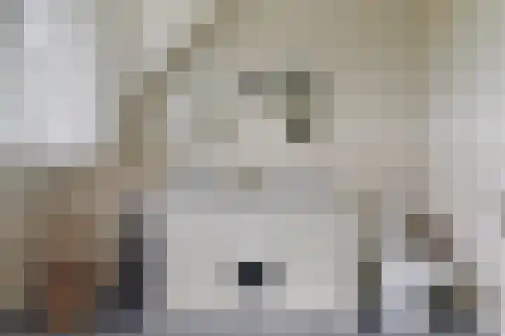 Agathastraat 59 Aagtekerke thumbnail 38