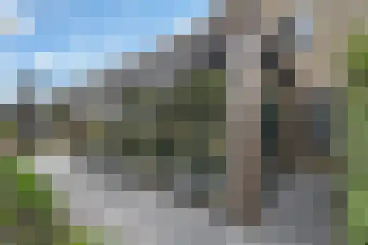 Agathastraat 59 Aagtekerke thumbnail 42