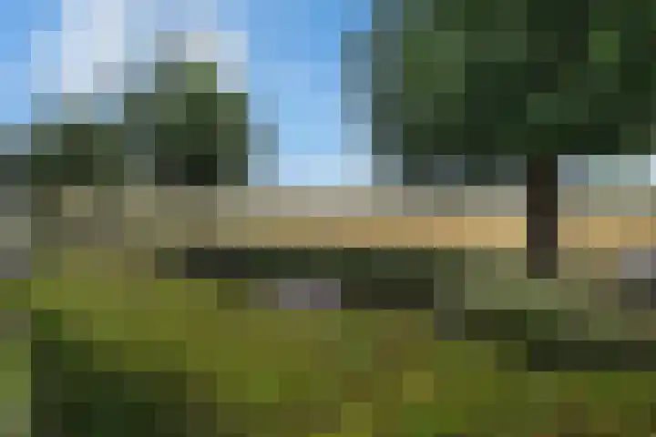Agathastraat 59 Aagtekerke thumbnail 45