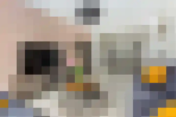 Agavedreef 111 Utrecht thumbnail 11