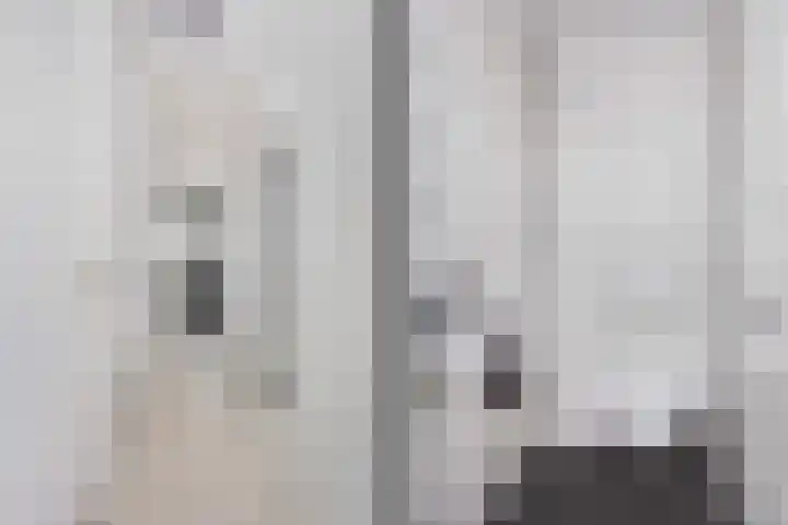 Agavedreef 111 Utrecht thumbnail 16