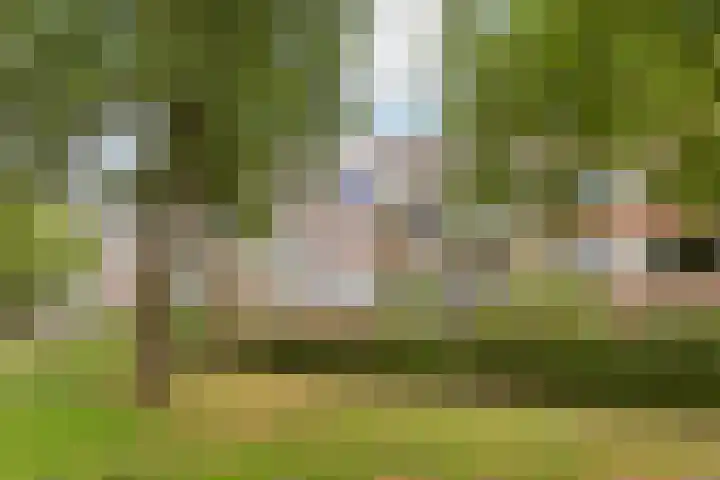 Agavedreef 111 Utrecht thumbnail 26