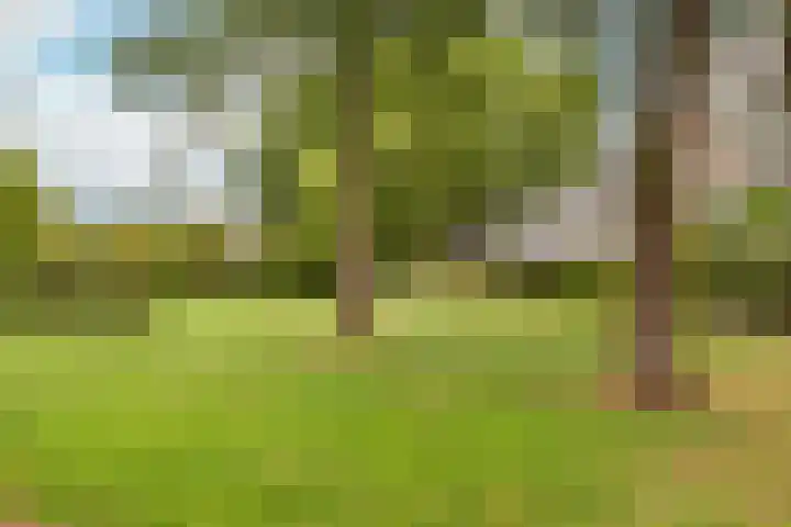 Agavedreef 111 Utrecht thumbnail 27