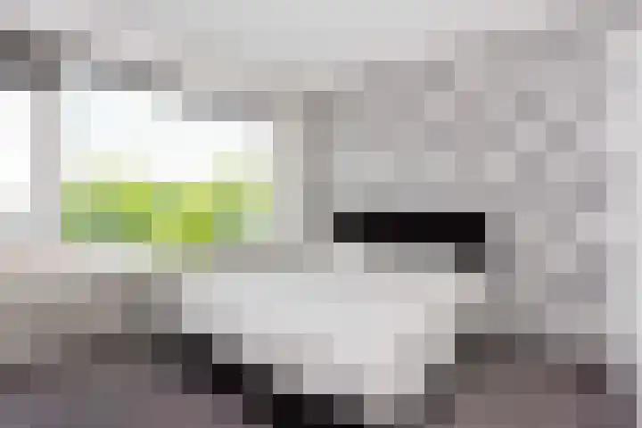 Agavedreef 111 Utrecht thumbnail 4