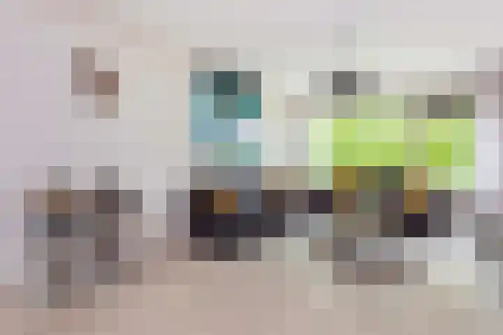 Agavedreef 111 Utrecht thumbnail 9